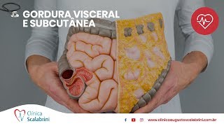 Gordura visceral e subcutânea: o que são | Dr. Augusto Scalabrini