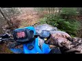 Messing around in the woods 