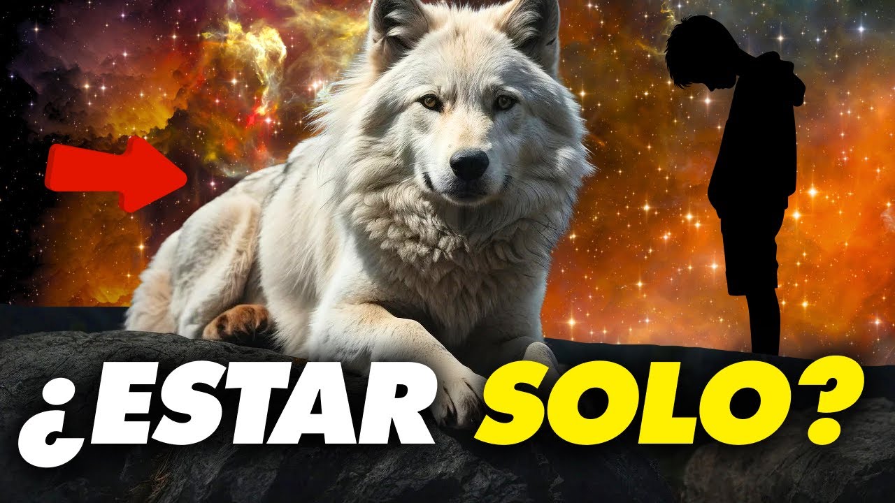 ¿Eres un Lobo Solitario? Esto Es Lo Que Significa 🔥