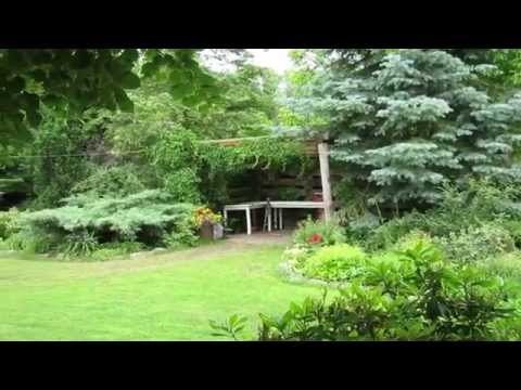 Dom pod Lipą - Silna Nowa 4 - Widok spod lipy