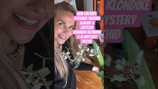 New Orchids Aliceara Tahoma Glacier &amp; Cattleya Bonanza Klondike &amp; ID Mystery Orchid #orchid #plants