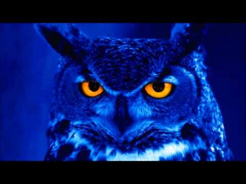 Paul Ritch - Blue Light (Original Mix)