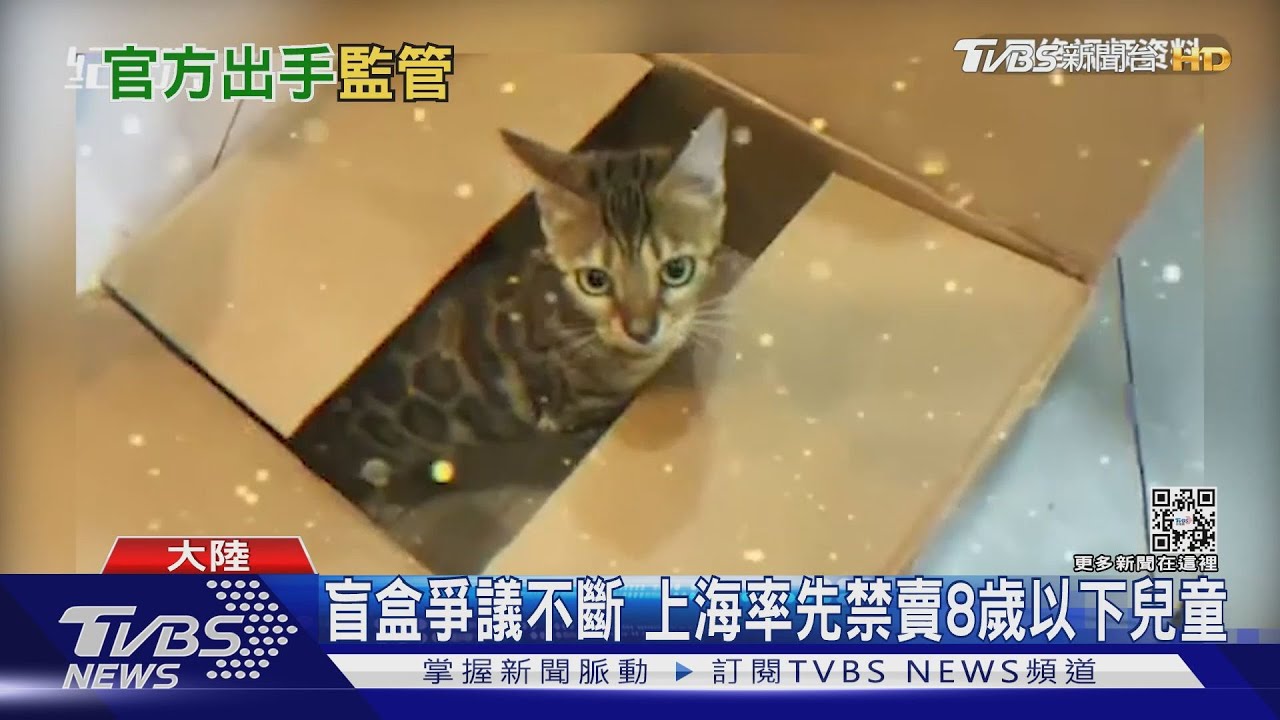 盲盒爭議不斷 上海率先禁賣8歲以下兒童