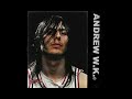 Free Jumps (vocals) - Andrew W.K (Demo)