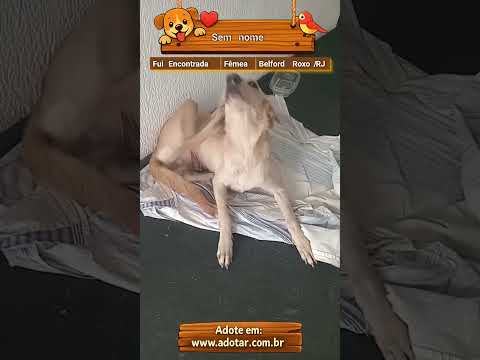 Vídeo de Sem nome