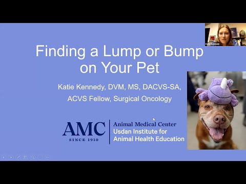 Lumps and Bumps on Dogs and Cats