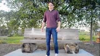 The Decemberists-O Valencia! Music Video