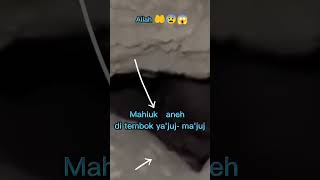 Download lagu mahluk aneh di  tembok ya'juj- ma'juj#shorts #kebesaranallah #islam mp3