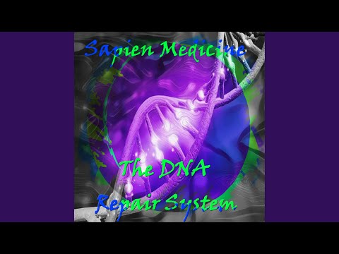 The DNA Repair System