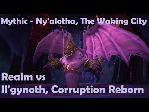 Realm vs Mythic Il'gynoth, Corruption Reborn - Holy Paladin PoV