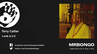 Terry Callier - Look in 2 U