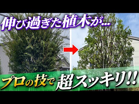 長方形の木製プールを選ぶ理由