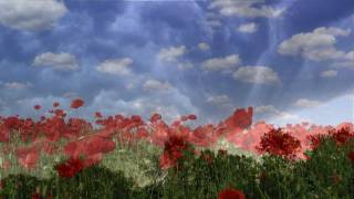 (HD 72op) &quot;What A Difference A Day Makes&quot;, Natalie Cole