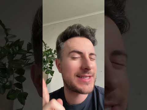 DRZWI DLA PSÓW #testuje #samoyed  #dogs