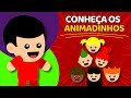 CONHEÇA OS ANIMADINHOS Animadinhos Música Infantil