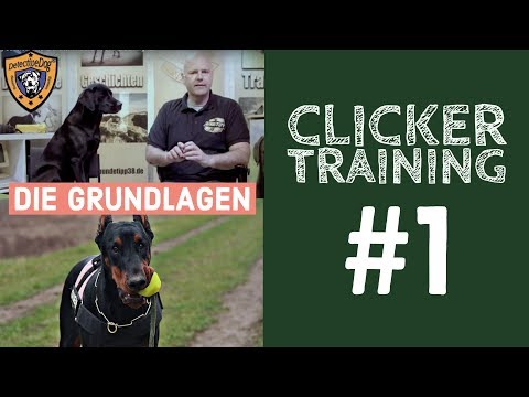 Dog Training Clicker