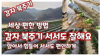 감자 북주기 서서하기 호미삽 흙올려주기 매기 [감자재배방법]