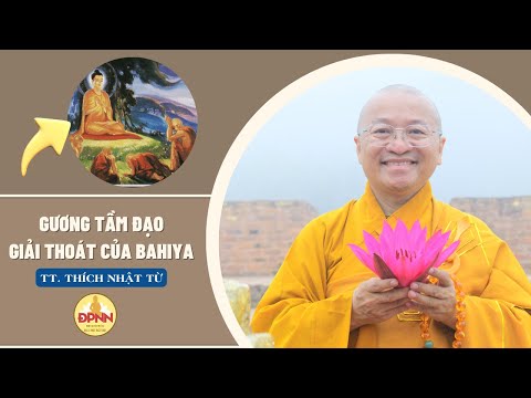 Gương tầm đạo giải thoát của Bahiya - Thầy Nhật Từ giảng