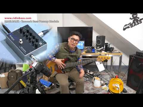 Marleuax Tonwerk Preamp/DI