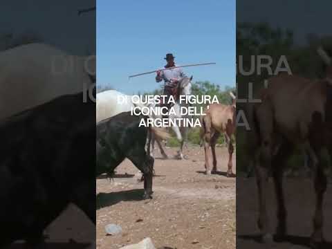 Alla scoperta della gemma nascosta dell'Argentina : San Antonio de Areco #shortsil #travel #perte