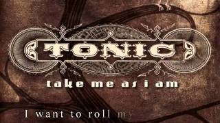 Take me as i am Lyrics by tonic