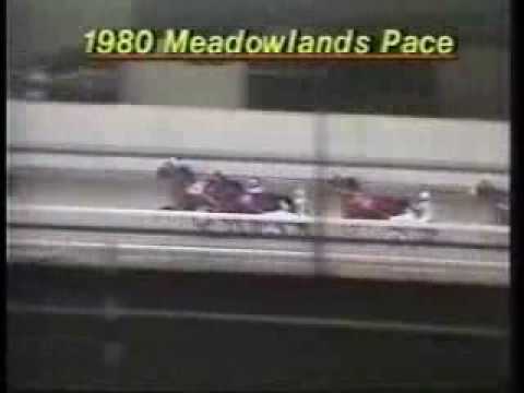 Niatross and the Meadowlands Pace 1980