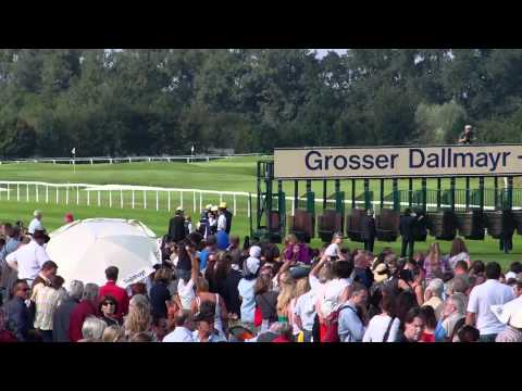 Großer Dallmayr Preis 2011 in Riem stabil