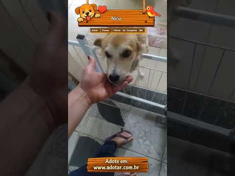 Vídeo de Nina