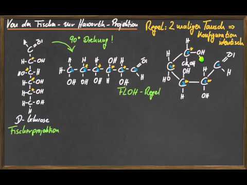 Q 11 Von der Fischer- zur Haworth-Projektion