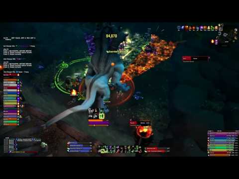 Familiar with Drama vs Guarm Mythic (Havoc Demon Hunter POV)