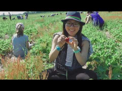 download lagu mp3 mp4 Fruit Picking September Toronto, download lagu Fruit Picking September Toronto gratis, unduh video klip Fruit Picking September Toronto