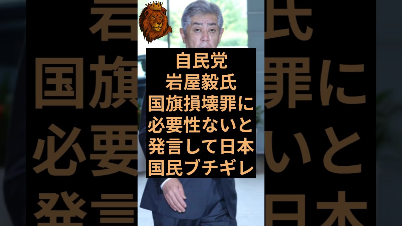 自民党の岩屋毅氏が国旗損壊罪に必要性がないと発言して日本国民ブチギレ！ #自民党 #高市早苗 #岩屋毅 #国旗損壊罪