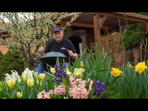 Varju Sandor Handpan - Spring mood