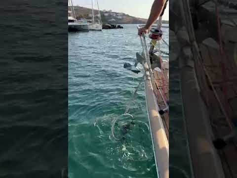 How to release the crossing anchors, analysis coming up next