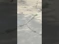 Concrete Repair in Whiteville, NC