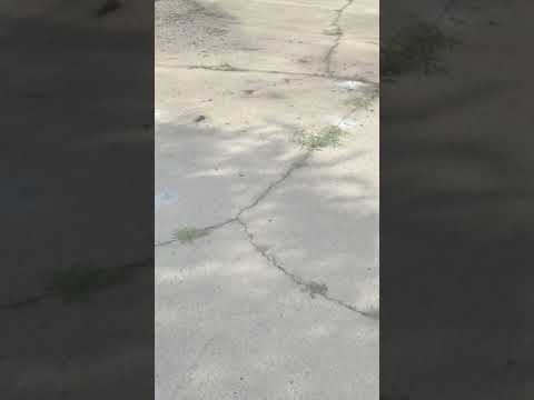 Concrete Repair in Whiteville, NC