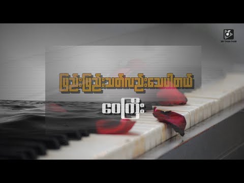 Wai Gyi ဝေကြီး- ဖြည်းဖြည်းသတ်လည်းသေပါတယ် (Lyric Video)