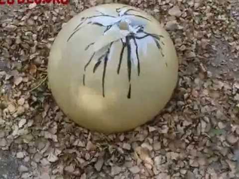 BIG BANG BIG BOOM - by BLU