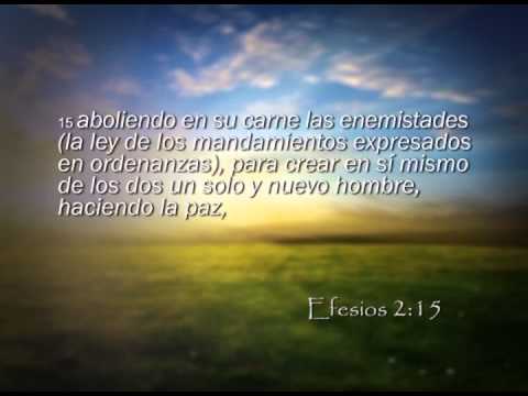 Reavivados por su Palabra - 20/4/2015 - Efesios 2