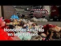 Honderden knuffels en lege flessen