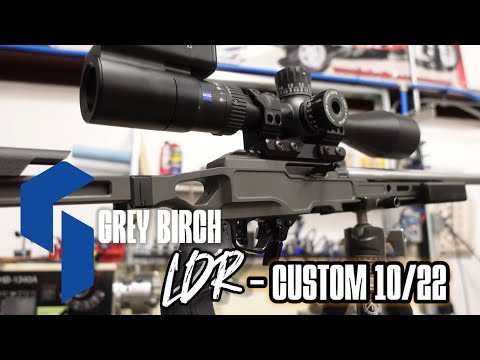 Most accurate 10/22? | Grey Birch LDR - #DPGunworks custom 22"