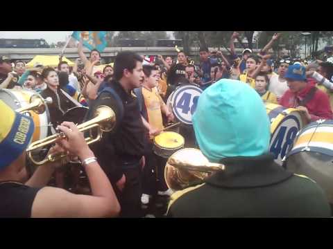 "orquesta azulcrema" Barra: La Monumental &bull; Club: América