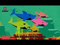 Baby Shark Song Effects 6 Different Effects