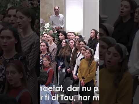 Beni Cibu si Grupul Coral(Deva Muntele Sionului)-Doar Harul Minunat/Radu Sava(Acordeon)