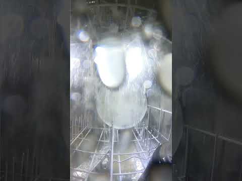 Camera Inside a Dishwasher! #shorts