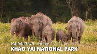 Khao Yai national park tours by Tontan Travel