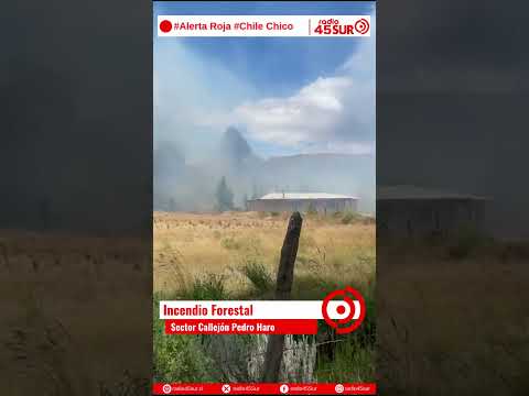 🚨 Alerta Roja por incendio forestal en Chile Chico