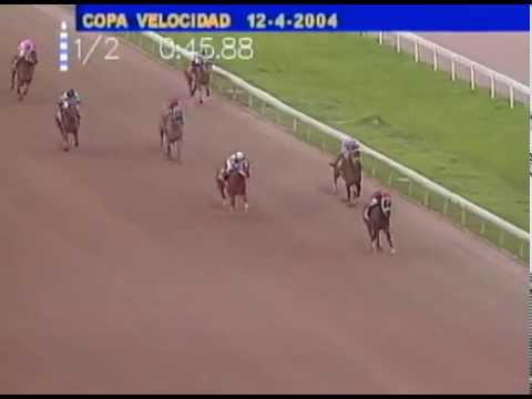 Copa Velocidad 2004 - Portentoso (PUR)