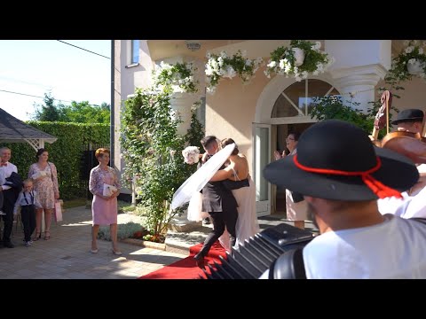 Wesele na folkowo! Skrót drogi weselnej w naszym wykonaniu🎻🔥