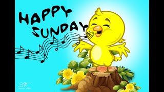 Happy Sunday Video - Happy Sunday Wishes - Sunday Whatsapp Status